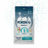 Kuivtoit koertele Forza10 Medium Diet kalaga, 12 kg