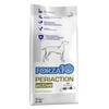 Kuivtoit koertele Forza10 Periaction Active, 10 kg