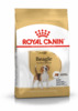Kuivtoit koertele Royal Canin Beagle Adult, 12 kg