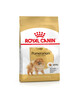 Kuivtoit koertele Royal Canin Pomeranian Adult, 3 kg