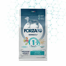 Kuivtoit koertele Forza10 Medium Diet kalaga, 12 kg
