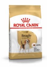 Kuivtoit koertele Royal Canin Beagle Adult, 12 kg