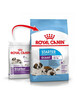 Kuivtoit koertele Royal Canin Giant Starter Mother & Babydog, 15 kg
