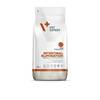 Veterinaardieet koertele VETEXPERT Intestinal Elimination, 12 kg