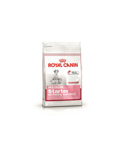 Kuivtoit koertele Royal Canin Medium Starter, 4 kg