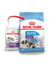 Kuivtoit koertele Royal Canin Giant Starter Mother & Babydog, 15 kg