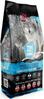 Kuivtoit koertele Alpha Spirit Wild Fish, 12 kg