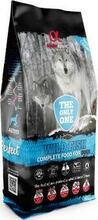 Kuivtoit koertele Alpha Spirit Wild Fish, 12 kg