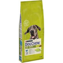 Kuivtoit koertele Purina Dog Chow Adult Large Breed kalkuniga, 14 kg
