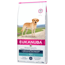 Kuivtoit koertele Eukanuba Breeds Specific Labrador Retriever kanaga, 12 kg