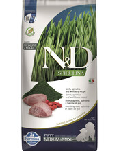 Kuivtoit kutsikatele Farmina N&D Spirulina Puppy Medium & Maxi lambaga, 7 kg