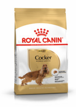 Kuivtoit koertele Royal Canin Cocker Adult, 12 kg