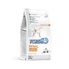 Kuivtoit koertele Forza10 Renal Active, 4 kg