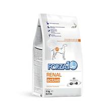 Kuivtoit koertele Forza10 Renal Active, 4 kg