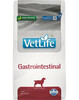 Kuivtoit koertele Farmina Vet Life Gastro-Intestinal, 2 kg