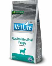 Dieettoit kutsikatele Farmina VetLife Dog Puppy Gastrointestinal, 12 kg