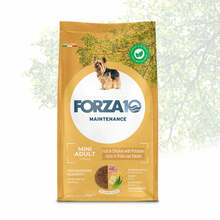 Kuivtoit koertele Forza10 Mini Adult Maintenance kanaga ja kartuliga, 2 kg