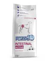 Kuivtoit koertele Forza10 Intestinal Active seedimisprobleemide korral, 10 kg
