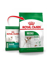 Kuivtoit koertele Royal Canin Mini Adult, 800g