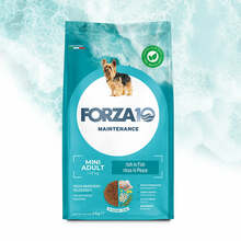 Kuivtoit koertele Forza10 Mini Adult Maintenance Fish, 4 kg