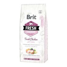 Kuivtoit kutsikatele Brit Fresh Chicken with Potato Puppy, 12 kg