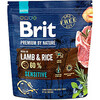 Kuivtoit koertele Brit Premium By Nature Sensitive lambalihaga ja riisiga, 1 kg