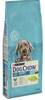 Kuivtoit kutsikatele Purina Dog Chow Puppy Large Breed kalkuniga, 14 kg