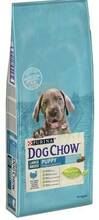 Kuivtoit kutsikatele Purina Dog Chow Puppy Large Breed kalkuniga, 14 kg
