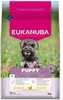 Kuivtoit kutsikatele Eukanuba Puppy Small kanaga, 3 kg