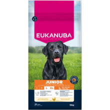 Kuivtoit koertele Eukanuba Junior Large Breeds kanaga, 15 kg