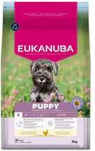 Kuivtoit kutsikatele Eukanuba Puppy Small kanaga, 3 kg