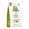 Kuivtoit koertele Brit Care Hypoallergenic Adult Small Breed lambaliha ja riisiga, 3 kg