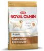 Kuivtoit koertele Royal Canin Labrador Retriever Adult, 12 kg