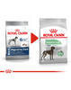 Kuivtoit koertele Royal Canin Maxi Digestive Care, 3 kg