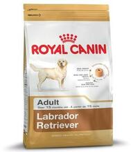 Kuivtoit koertele Royal Canin Labrador Retriever Adult, 12 kg