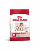 Kuivtoit koertele Royal Canin SHN Medium Adult BF, 4 kg