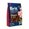 Kuivtoit koertele Brit Premium By Nature Adult Large kanaga 3 kg
