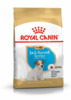 Kuivtoit koertele Royal Canin Jack Russell Terrier Junior, 3 kg