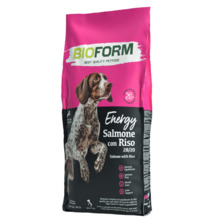 Kuivtoit koertele Bio Form Dog Salmon, 20 kg
