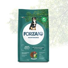 Kuivtoit koertele Forza10 Maxi Adult Maintenance hirveliha ja kartuliga, 12 kg