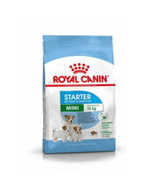 Kuivtoit koertele Royal Canin Mini Starter Mother & Babydog, 1 kg