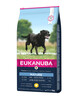 Kuivtoit koertele Eukanuba Senior Large Breeds Chicken, 15 kg