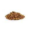 Kuivtoit koertele Family Dog Standart Adult Mini, 10 kg