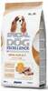 Kuivtoit koertele Monge Special Dog Excellence Mini Adult, lambaliha, 1.5 kg