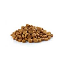 Kuivtoit koertele Family Dog Standart Adult Mini, 10 kg