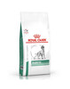 Dieettoit koertele Royal Canin Diabetic, 1,5 kg