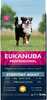 Kuivtoit koertele Eukanuba Everyday Adult Large, 16,5 kg