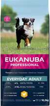 Kuivtoit koertele Eukanuba Everyday Adult Large, 16,5 kg