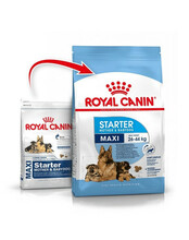 Kuivtoit koertele Royal Canin Maxi Starter Mother & Babydog, 15 kg