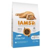 Kuivtoit kassipoegadele IAMS for Vitality Cat Kitten Ocean Fish, 10 kg